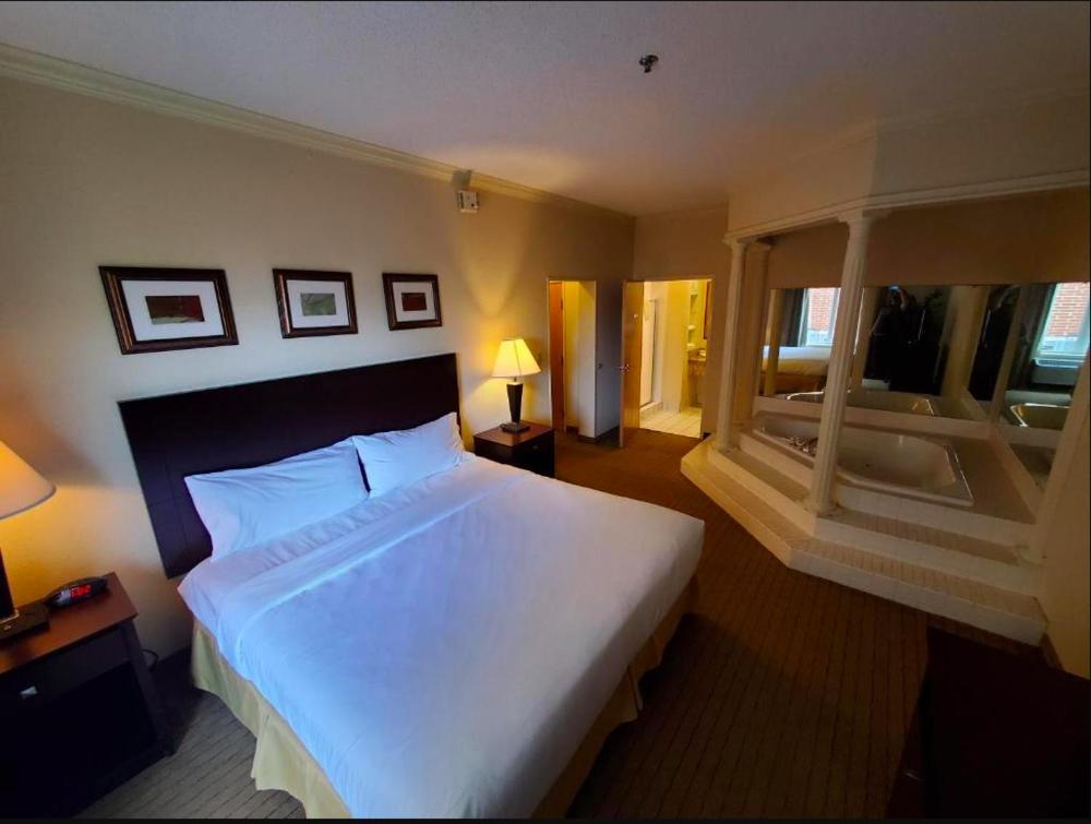 King Suite with Spa Bath interior